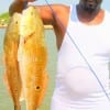 Mike Alexander of Baytown TX took these 26 and 27 inch slot reds back to back on cut croaker