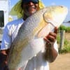 Richie Broussarrd of Houston boxed this HUGE 32 inch tagger bull red at night on croaker