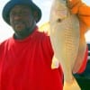 Rick Stewart of Houston fished shrimp for this Mega-Croaker