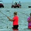 Rollover Bay waders
