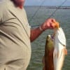 Vidor TX angler James McNeely took these two nice slot reds on a finger mullet