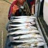An early Monday morning tide and a MirrOdino put this limit of specks on Winnie TX angler Donnie Lucier's tailgate