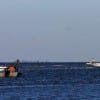 Bay boats
