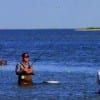 Bay waders (2)