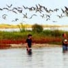 Bay waders (3)