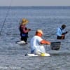 Bay waders