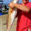 Cameron Young of Vidor TX took this 35 inch Bull red while fishing a finger mullet