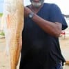 George Harrison of Houston took this 36 inch tagger bull red on cut mullet