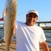 George M. of Houston took this 36 inch Bull red on cut mullet