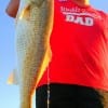 Jacksonville TX angler Shane Ray fished cut mullet for this tagger Bull red then released it