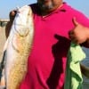 Jamie Duarte of Channelview TX nabbed this 35 inch Tagger Bull Red on shrimp