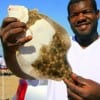 Jemeul Jackson of Baytown TX hefts this unusual colored flounder caught on a mud minnow