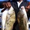 Jerome Davis of Houston took these nice drum and slot red on shrimp