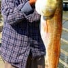 Lee Ching of Houston nabbed this 34inch tagger bull red while fishing shrimp