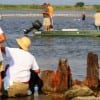 Lots of bay activity