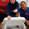 Night-shift anglers Blake Shelton, Joshua Wallace, and Dan Luangpakdy of Tomball TX fished popping corks and shrimp for three limits of specks