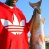 Pedro Willis of Houston nabbed this nice 36inch tagger bull red while fishing a finger mullet