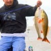 Sergio Juarez of Houston tethered up these two fine slot reds he caught on finger mullet