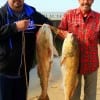 The Sanchez Familia of Houston took these 35 and 36inch tagger bull reds on croaker