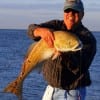 Tommy Forse of Lumberton TX landed then released this huge bull red from the surf fishing a finger mullet