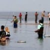 Bay waders on line and ready for the flounder