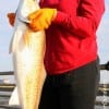 Candy Gee of Spring TX latched onto this 34 inch tagger Bull red while fishing shrimp