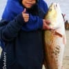 Father and son, Marco Ipiana of Houston with 11 yr old Youens School District student Damion teamed up to catch this HUGE 39 inch Bull red on a finger mullet