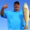 Fred of Midtown TX caught this nice 27 inch slot red on shrimp