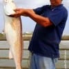 Hugo Talles of Houston hefts this 39 inch Bull Red for the cameras then released it