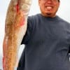 Joe Yin of Katy TX nabbed this 32 inch tagger bull red on cut croaker