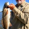 John Stutson of Harrisonburg LA took this nice slot red on live shrimp