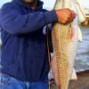 Jose Escalante of Houston landed this nice 36 inch bull red on shrimp