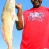 Lawrence Williams of Houston took this 38 inch tagger bull red on shrimp