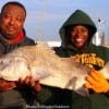 Mr and Mrs Ruiz of Houston caught and released this HUGE 35 inch drum Mrs Ruiz caught on shrimp