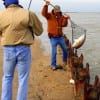 Netting the BIGGUN for a fellow angler