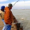 Reeling in the bacon