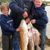 The Wallace family of Houston tethered up these fine reds and drum fishing live shrimp and mullet