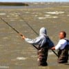 Wade buddies Chilling out against the strong winds and chilly waters