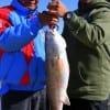 Father and son team, Vonry and Rolly Edralin of Sugar Land TX took this nice 26 inch slot red on shrimp