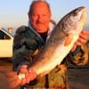 Houston Angler Joe DeFalco landed this 30 inch tagger Bull red on a finger mullet