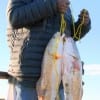 Jerry Gaither of Houston caught these two nice slot reds on shrimp