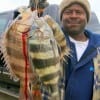 John Williams of Houston took these nice sheepshead on shrimp