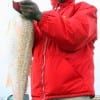 Houston angler JJ Foster caught and tagged this 32 inch Bull Red on shrimp