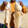 Houston angler John House nabbed these 28 and 25 inch reds while fishing live shrimp