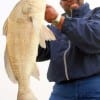 Kim Cyphres of Missouri City TX took this 29 inch keeper eater drum while fishing shrimp
