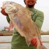 Luis Caldwell of Houston nabbed this 30 inch drum fishing shrimp