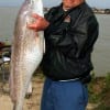 Manny Caulderon of Houston caught and tagged this HUGE 39 inch Bull Red fishing shrimp