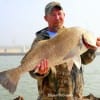 Santa Fe TX angler Charles O'Neal landed and released this 38 inch drum on shrimp