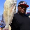 Chris Harris of Houston nabbed this keeper drum while fishing shrimp