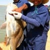 Jessey and Tammie George of Houston managed to wrestle this HUGE 50 inch- 45 lb Bull Drum on shrimp, then released it